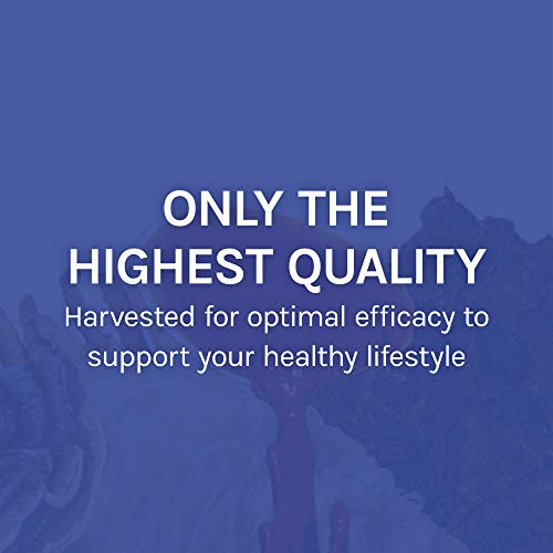 Host-Defense-Stamets-7-Capsules-Daily-Immune-Support-Mushroom-Supplement-with-Lions-Mane-Reishi-Vegan-Organic-Gluten-Free-60-Capsules-30-Servings