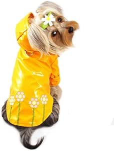 yorkie raincoat