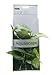 Fluval Anubias Plant for Aquarium, 8-Inch
