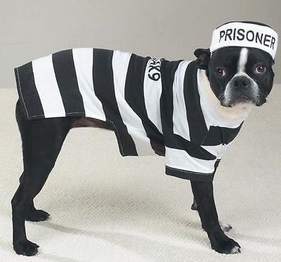 Simply Silver - Casual K9 Prison Pooch Prisoner Dog Halloween Costume Pet Outfit Stripes