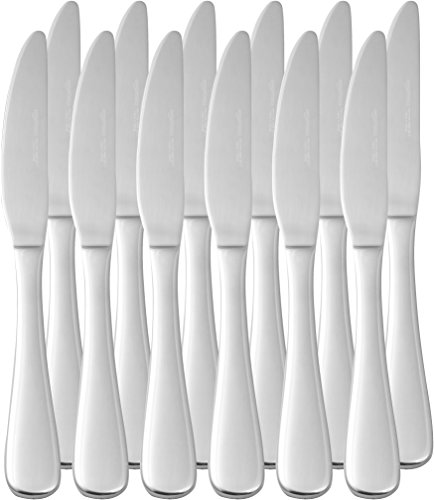 Amazon Basics Stainless Steel Dinner Knives with Round Edge, Pack of 12, Silver