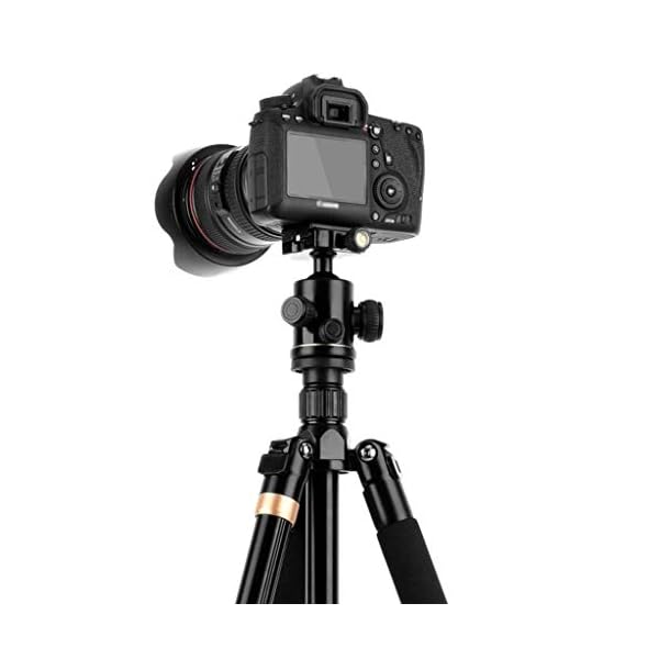 XYSQWZ Aluminium Telefonhalter Mädchen Live Broadcast Fotografie DSLR Kamera Stativ - Family Dinner Kamera Telefonhalter… – Bild 8