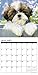 Just Shih Tzu Puppies 2018 Wall Calendar (Dog Breed Calendar)