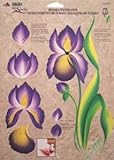 Plaid Folk Art One Stroke Reusable Painting Teaching Guide: (IRISES)