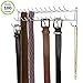 Evelots Tie, Belt, Scarf, Necklace, Bras, Handbags Closet Organizer Rack- 27 Hooks - Jewelry Wall Hangers - Rubber Coated Steel Hooks - No Rust - Hold up to 100 Pieces