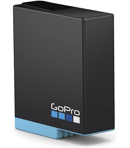 Amazon.com : GoPro Dual Battery Charger - HERO8 & HERO7 / Official