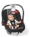 Genius Baby Toys Zebra Teether & Sensory Toy for Car Seat, Stroller in Black White Red for Baby