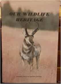 Our wildlife heritage essay 04 image