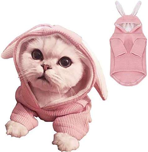 ANIAC Pet Hoodie Cat Rabbit Outfit with Bunny Ears Cute Sweatshirt