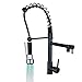 Rozin? Oil Rubbed Bronze LED Light Pull Down Spray Kitchen Sink Faucet Swivel Spout Mixer Tap by Rozinsanitary