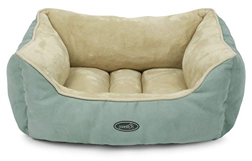 Best dog booster seat for 60 lbs