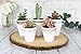 My Urban Crafts 20 Pcs White Terracotta Clay Pots 2.5 Inch Small Succulent Pots Ceramic Mini Plant Pots White Terra Cotta Flower Pots for Cacti Succulents, Crafts, Wedding Favors (Matte White Bisque)