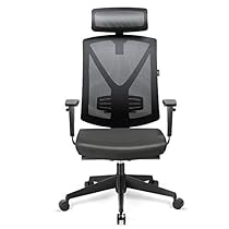 INTEY Sillas de Oficina, Sillas de Escritorio con Reposacabezas y Soporte Lumbar Ajustable, Malla Transpirable, Instalación Modular