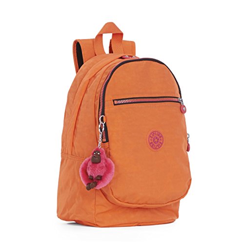gucci brown dust bolsa