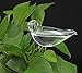 Mehome Self Watering Globes Aqua Bulbs Hand-Blown Mini Glass Automatic Plant Waterer Decorative Design,Set of 2 (Bird)