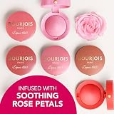 Bourjois Little Round Pot Blusher 95 Rose De Jaspe 2.5g view 13