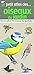 Petit atlas des oiseaux du jardin : Reconna\^itre 70 oiseaux du quotidien by