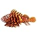 JESONN Realistic Stuffed Marine Animals Toys Fish Plush Lifelike Dolls (Lion Fish)