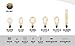 Edison light bulb – 6 Pack – The Longhorn - 40 Watt Bulb - Choose from many other designs. Inspired by Thomas Edison these incandescent filament style bulbs provide retro vintage light ambiance