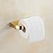 AUSWIND Gold Square Toilet Paper Holder Polish Solid Brass Tissue Roll Holder Wall Mount T90