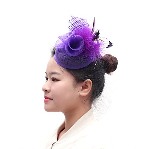 Purple Fashion Feathers Hair Clip Fascinator Cocktail Kentucky Derby Hat With Mesh Loops, Beaded For Women