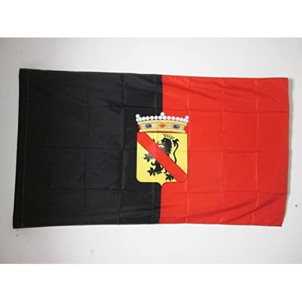 AZ FLAG - Province of Namur Flag - 3x5 Ft - Namen Banner with Sleeve - 100% Polyester - Fade Resistant - Vivid Colors - 3' x 5' Feet - 150x90 Cm