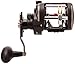 Penn Warfare Level Wind Conventional Fishing Reel