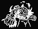 Angry Hulk Logo Vinyl Die Cut Decal Sticker 8