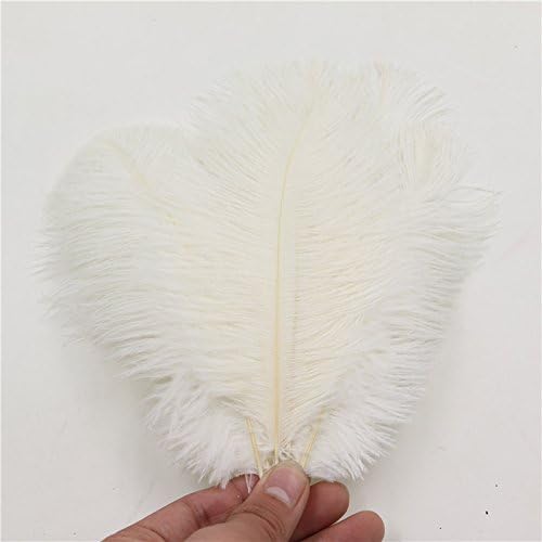 WAKEACE Ostrich Feathers 20 Pieces 7-10 Inch 18-24CM DIY Wedding Dress Feather Dance Craft
