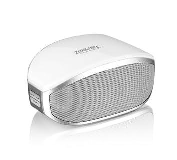 zebronics bluetooth speaker amazon