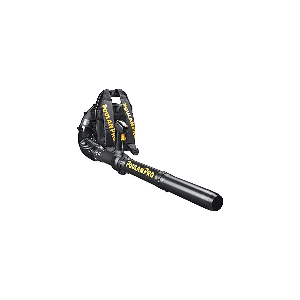 DEWALT Leaf Blower, Handheld, 12Amp, 145MPH, 409CFM (DWBL700) The