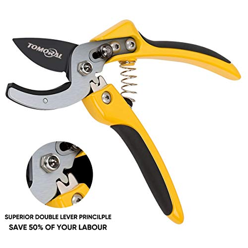 TOMORAL Professional SK-5 Steel Blade Anvil Pruning Shears(TM-PS-001), Cushion Shock Absorber Design, Ergonomically Design Handle.