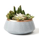 Large Succulent Planter Pots - Ceramic Indoor