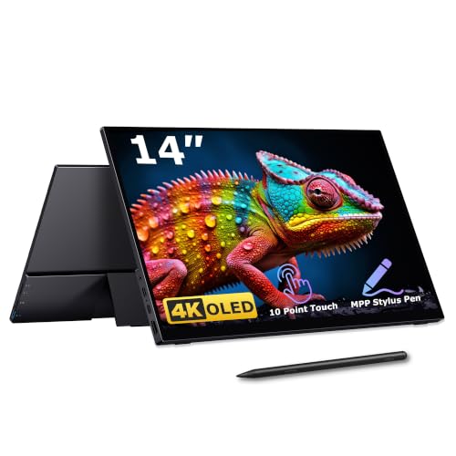 DAMRAPT 14 Inch 4K OLED Monitor