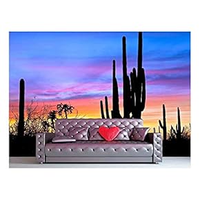 BRAND_NAMESaguaro Silhouetten in Sonoran Desert Sunset Lit Sky