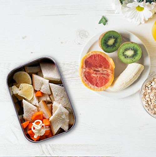 FOOLS ALIBAI Auslaufsichere Brotdose aus Edelstahl, Bento-Box, 800ml Steel Metal Lunch Box, Food Containers with Lock Clips & Removable Divider Lunchbox