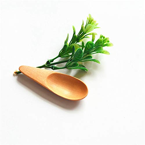 5 NUOMI+Wooden+Scooper+Handle+Natural