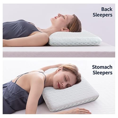 Hcore Ultra Thin Pillow 3.25" Stomach Sleeping, Slim Pillow for Side