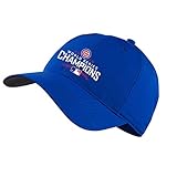 Nike Chicago Cubs 2016 World Series Champions Legacy 91 Tech Hat