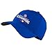Nike Chicago Cubs 2016 World Series Champions Legacy 91 Tech Hat