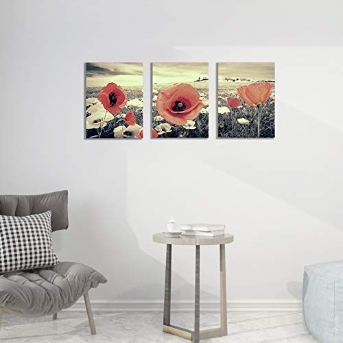 Canvas Wall Art for Living Room Red Poppy Decor Painting White and Black Background Floral Pictures Print Artwork 12x16inch x3Pieces