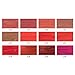 COOSA 12Colors Matte Velvety Liquid Lipstick Set Matte Liquid Lipgloss Long Lasting Waterproof Colourful Lip Gloss Set (12 PCS)