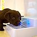 Premium Automatic Electric Pet Water Fountain Dog Cat 1.8 L Drinking Bowl With LED Light and US Plug