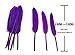 Dxeud Colorful Goose Feathers 100pcs/pack/ (10pcs X10colors) (4-6 inch)