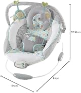 Ingenuity Morrison Soothing Baby Bouncer 8 Melodies 0-6 Months view 9