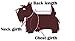 Idepet(TM) Cotton Pet Dog T Shirts for Yorkshire Terrier pug Beagle Dog Clothes Color Gray (L, I love my Mommy)