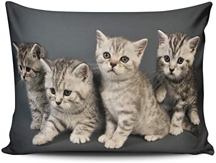 THUONY Bedroom Home Decor  British Shorthair Kittens Sitting on Gray  Throw Pillow Cover Cushion Case Fashion One Side Printed Lumbar 12x20 Inches (Set of 1)