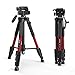 ZOMEI Z666RED Camera Compact Travel Tripod With Pan Head And Quick Release Plate, Aluminum Lightweight Camera Tripod With Carry Case For Canon Sony Nikon DSLR Cameras, Red