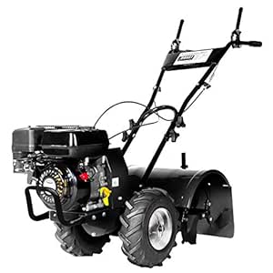 ebay cortacesped gasolina