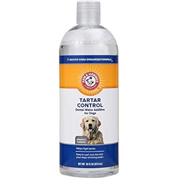 Arm & Hammer Dog Dental Care Dental Tartar Control Water Additive for Dogs | Reduces Plaque & Tartar Buildup Without Brushing, 16 ounces, Odorless and Flavorless